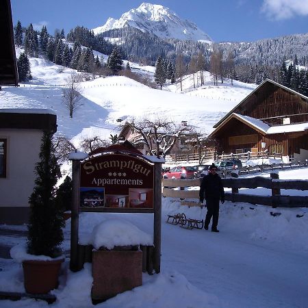 Strampflgut Apartment Dorfgastein Exterior foto